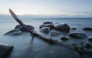 Stenar och ved vid Vänerns strand