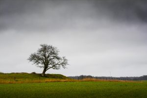 november regn Dalsland landskapsfoto